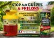 PROTECTA Attractif Guêpes, Frelons et Mouches – Liquide pour piège Guêpes - Concentré à diluer - 2x500ml
